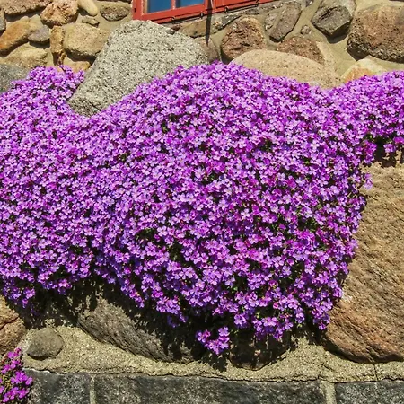 Casa vacanze Detlef - 200m From The Sea By Interhome